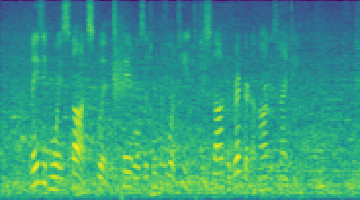 Noisy spectrogram